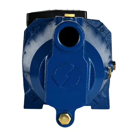 Поверхностный насос MAXPUMP JSW 900