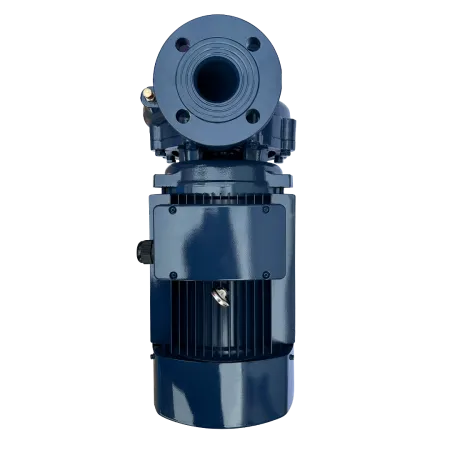 Циркуляционный насос MAXPUMP F 50-160/55