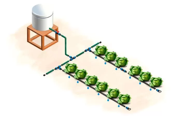 Как сделать капельный полив своими руками